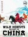 Plakat for 'Wild Horses: Return to China'