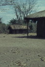 The Makonde Sculptor Nangonga