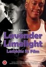 Lavender Limelight