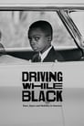 Driving While Black: Race, Space and Mobility in America (2020)