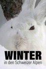 Winter in den Schweizer Alpen