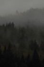 Green Valley