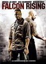 Image Falcon Rising