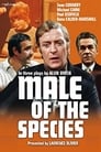 Male of the Species poster