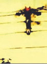 .520