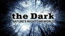 2012 - The Dark: Nature's Nighttime World thumb
