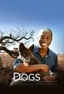 Dogs: An Amazing Animal Family Episode Rating Graph poster