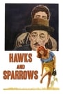 Poster van Hawks and Sparrows