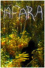 YÁFARA
