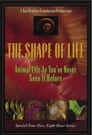 The Shape of Life Episode Rating Graph poster