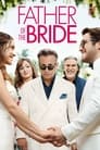 Father of the Bride poster