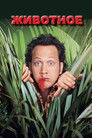 Постер: The Animal