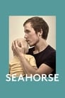 Seahorse (2020)