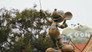 Nat Geo's Map Makers, Remy's Ratatouille Adventure, Mickey's New Funhouse