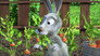 Image Masha and the Bear