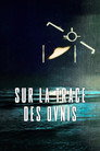 Sur la trace des ovnis (2024) - Affiche