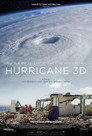 Hurricane, a wind odyssey