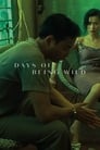 Days of Being Wild 1990 | BluRay 1080p 720p Download