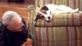 Death and the Dog