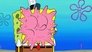 A Taste of Plankton
