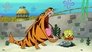 Who R Zoo?