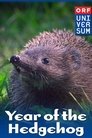 Plakat for 'Year of the Hedgehog'