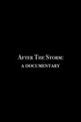 After the Storm: A Documentary