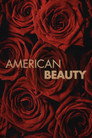 American Beauty