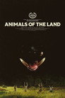 Animals of the Land