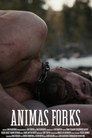 Animas Forks
