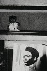 Puppet Show