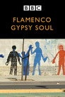 Flamenco Gypsy Soul