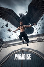 The Paradise