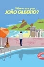 Où es tu, João Gilberto? (2018)