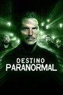 Temporada 14