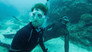 Shark Swarm Freedive