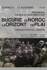 Bucurie de noroc la orizont de plai
