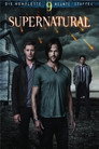 Staffel 9