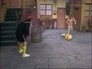 Image Chaves