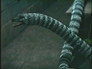 Basilisk Part 2