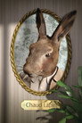 Chaud Lapin