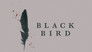 2022 - Black Bird thumb