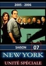 New York : Unité spéciale (1999)