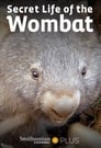 Secret Life of the Wombat Episode Rating Graph poster