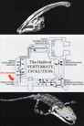The Halls of Vertebrate Evolution