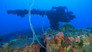 Ghost Fleet of Doom