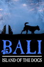 Bali: Island of the Dogs