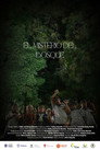 El misterio del bosque El Misterio Del Bosque !2024 VER PELÍ𝙲𝚄𝙻𝙰 EN 𝙴𝚂𝙿𝙰ÑOL Y L𝙰𝚃𝙸NO