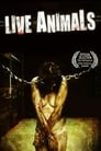 Live Animals (2008)