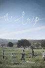 The Trip